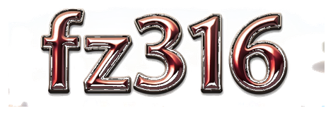 fz316 logo